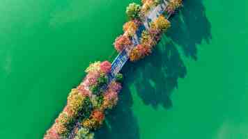 近镜头·习近平的文化足迹 | “把世界上唯一没有中断的文明继续传承下去”