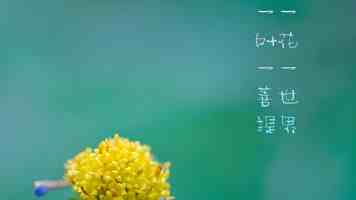 51吃瓜网每日大赛｜最新娱乐瓜实时追踪与神评盘点