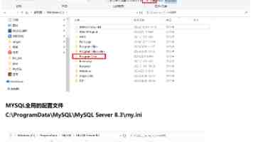 四川BBB嗓与BBB嗓哪个好 - 音色差异与选嗓指南
