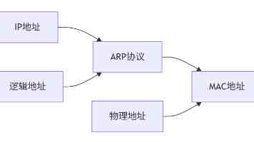 荔枝新品种“仙桃荔”上市
