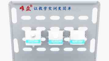 台湾团体举行游行反对当局刁难迫害大陆配偶