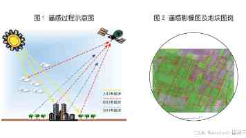 法治力量护航民营经济高质量发展（代表之声）