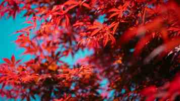 从用户决策到Agent参与，值得买科技分享AI时代品牌经营新课题