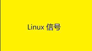 迷彩身影守护“国宝”家园