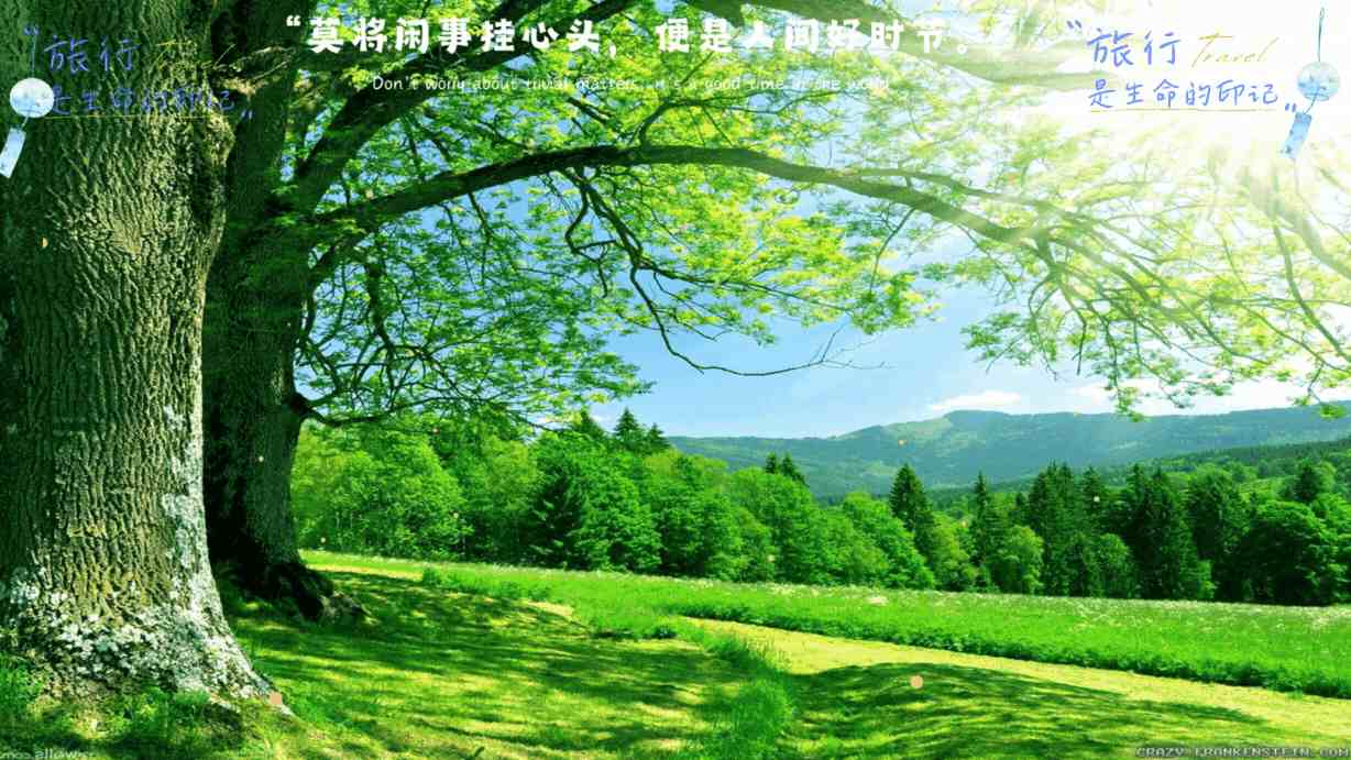濑户环奈作品合集:经典日剧角色与电影代表作纵览